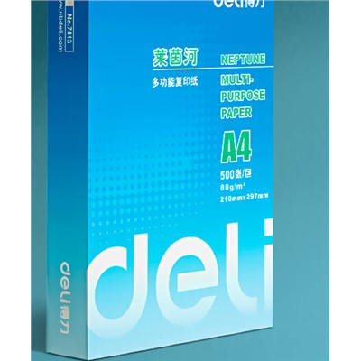 得力/DELI 80g 复印纸 莱茵河A4高速打印用白纸草稿纸a4办公用品打印纸 莱茵河80克A4-整箱5包 共2500张